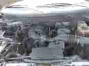 2011 Ford F-150 XL с VIN 1FTEW1CM0BFB52109, выставлен на аукционе IAAI как лот 42859766 с пробегом 215 317 миль миль и . История ставок и продаж доступна на DreamBid. Изображение 10.