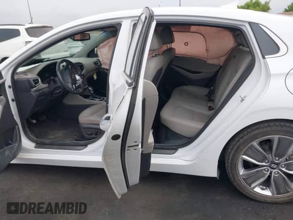 2019 Hyundai Ioniq Limited with VIN KMHC05LCXKU110738, listed as a IAAI auction lot 42794278 with 162,855 mi miles and . Bid and sale history available at DreamBid. Image 8.