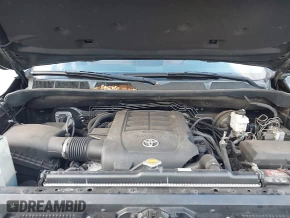 2016 Toyota Tundra Platinum with VIN 5TFGW5F15GX206197, listed as a IAAI auction lot 41315319 with 63,022 mi miles and . Bid and sale history available at DreamBid. Image 10.