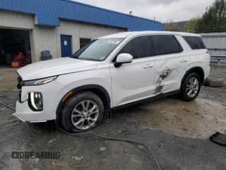 2021 Hyundai Palisade SE с VIN KM8R1DHEXMU213222, выставлен на аукционе Copart как лот 51446735 с пробегом 74 051 миль миль и Чистый • Clean title. История ставок и продаж доступна на DreamBid. Изображение 1.