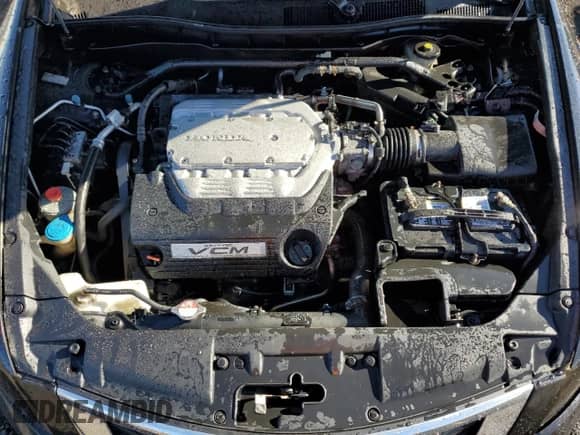 2009 Honda Accord EX-L with VIN 5KBCP36859B501067, listed as a Copart auction lot 80668554 with 159,910 mi miles and Salvage title. Bid and sale history available at DreamBid. Image 11.