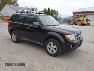 2011 Ford Escape XLT с VIN 1FMCU9D75BKC46607, выставлен на аукционе IAAI как лот 43393373 с пробегом 239 521 миль миль и . История ставок и продаж доступна на DreamBid. Изображение 1.