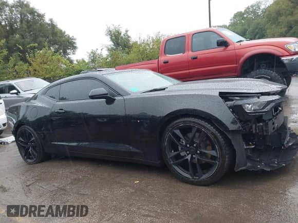 2024 Chevrolet Camaro 1LT с VIN 1G1FB1RS1R0123181, выставлен на аукционе IAAI как лот 43044111 с пробегом 13 473 миль миль и . История ставок и продаж доступна на DreamBid. Изображение 14.