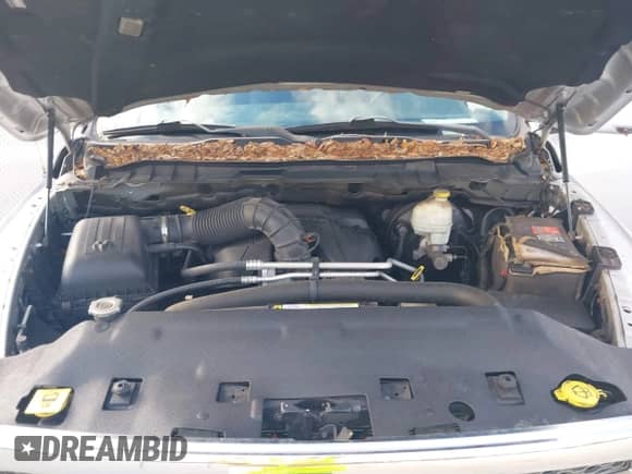 2009 Dodge 1500 SLT с VIN 1D3HB13T79S751145, выставлен на аукционе IAAI как лот 43574736 с пробегом 163 838 миль миль и . История ставок и продаж доступна на DreamBid. Изображение 10.