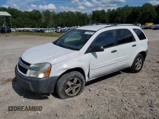 2005 Chevrolet Equinox LS with VIN 2CNDL13F756013854, listed as a Copart auction lot 70198875 with 107,315 mi miles and Salvage title. Bid and sale history available at DreamBid. Image 1.