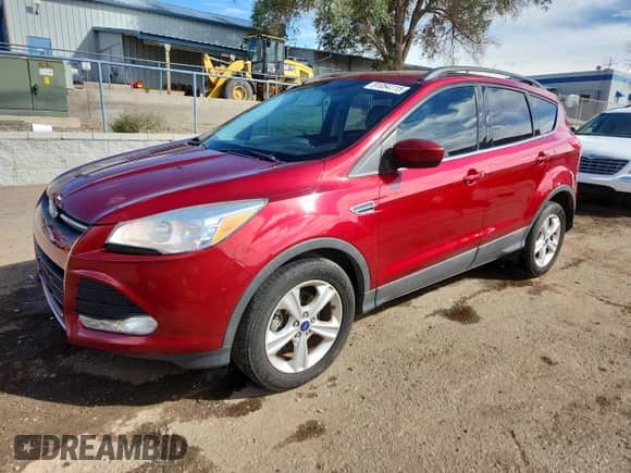 2014 Ford Escape SE with VIN 1FMCU0GX2EUE39118, listed as a Copart auction lot 81064115 with 187,207 mi miles and Salvage title. Bid and sale history available at DreamBid. Image 1.