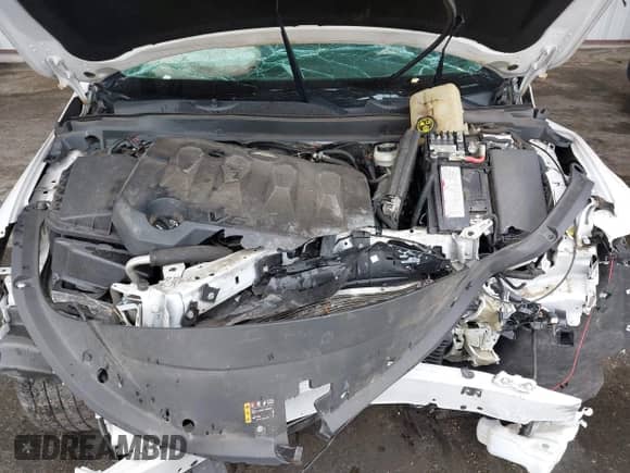 2019 Chevrolet Impala LT с VIN 1G11Z5S36KU144638, выставлен на аукционе IAAI как лот 43183056 с пробегом 113 036 миль миль и . История ставок и продаж доступна на DreamBid. Изображение 10.