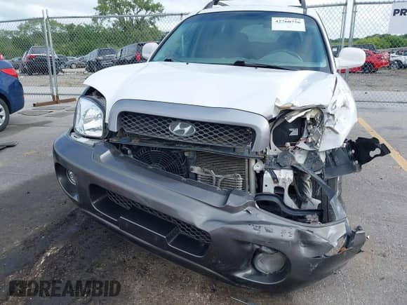 2003 Hyundai Santa Fe GLS с VIN KM8SC73D43U425401, выставлен на аукционе IAAI как лот 42760756 с пробегом 190 045 миль миль и . История ставок и продаж доступна на DreamBid. Изображение 6.