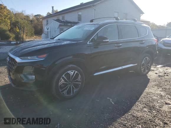 2020 Hyundai Santa Fe SEL with VIN 5NMS3CAA4LH248751, listed as a Copart auction lot 87234305 with 121,110 mi miles and Clean title. Bid and sale history available at DreamBid. Image 1.