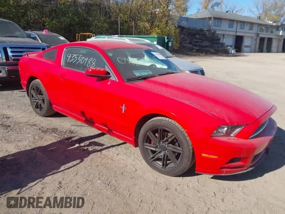2014 Ford Mustang Premium with VIN 1ZVBP8AM1E5203717, listed as a IAAI auction lot 43550488 with 106,905 mi miles and . Bid and sale history available at DreamBid. Image 1.