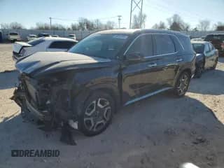 2024 Hyundai Palisade Limited with VIN KM8R54GE8RU651976, listed as a Copart auction lot 86013764 with 19,125 mi miles and Salvage title. Bid and sale history available at DreamBid. Image 1.