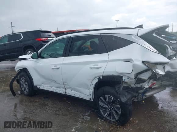2024 Hyundai Tucson Blue with VIN KM8JBCD15RU194397, listed as a IAAI auction lot 43104054 with 19,814 mi miles and . Bid and sale history available at DreamBid. Image 14.