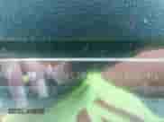 2009 Chevrolet Malibu 1LT с VIN 1G1ZH57B69F215146, выставлен на аукционе IAAI как лот 42622709 с пробегом 237 045 миль миль и . История ставок и продаж доступна на DreamBid. Изображение 9.