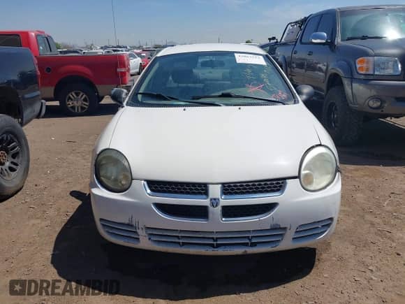 2004 Dodge Neon SE с VIN 1B3ES26C54D572078, выставлен на аукционе IAAI как лот 42867512 с пробегом 228 625 миль миль и . История ставок и продаж доступна на DreamBid. Изображение 6.