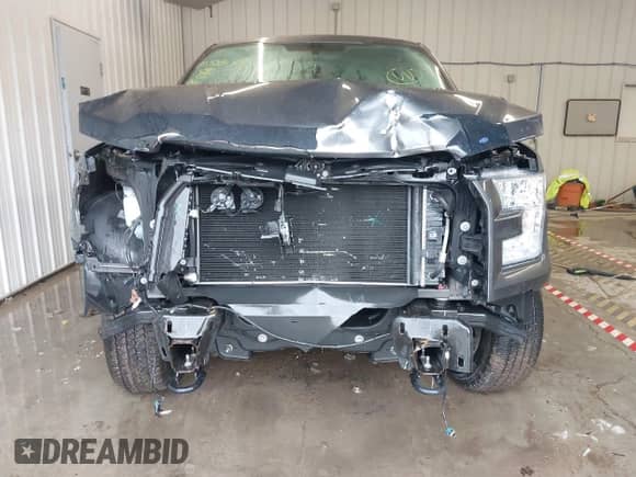 2017 Ford F-150 XL z VIN 1FTEX1E82HFB75381, wystawiony jako IAAI lot #41583133 z przebiegiem 40 675 mil mil oraz . Historia ofert i sprzedaży dostępna na DreamBid. Obrazek 6.