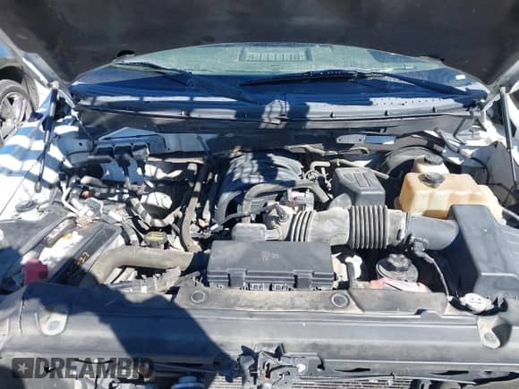 2009 Ford F-150 XL с VIN 1FTRF12839KA68521, выставлен на аукционе IAAI как лот 41307002 с пробегом 191 999 миль миль и . История ставок и продаж доступна на DreamBid. Изображение 10.