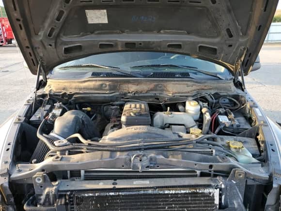 2003 Dodge RAM с VIN 3D7LU38673G750755, выставлен на аукционе Copart как лот 52638995 с пробегом 202 147 миль миль и Списание • Salvage title. История ставок и продаж доступна на DreamBid. Изображение 11.