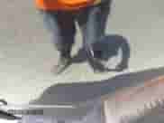 2012 Ram 1500 ST with VIN 3C6JD6APXCG277074, listed as a IAAI auction lot 42557652 with 261,698 mi miles and . Bid and sale history available at DreamBid. Image 6.