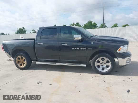2011 Ram 1500 Big Horn with VIN 1D7RV1CT3BS507539, listed as a IAAI auction lot 42399252 with 297,141 mi miles and . Bid and sale history available at DreamBid. Image 13.