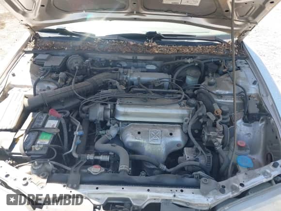 1997 Honda Accord LX с VIN 1HGCD5537VA036725, выставлен на аукционе IAAI как лот 42309612 с пробегом 182 864 миль миль и . История ставок и продаж доступна на DreamBid. Изображение 10.