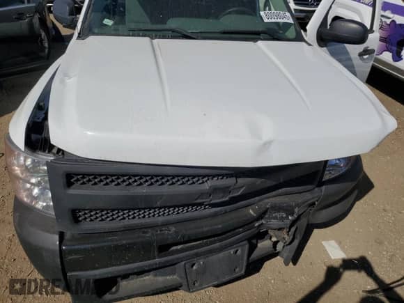 2009 Chevrolet Silverado 1500 Work Truck with VIN 1GCEC14X09Z135188, listed as a Copart auction lot 80098045 with Not provided miles and Clean title. Bid and sale history available at DreamBid. Image 11.