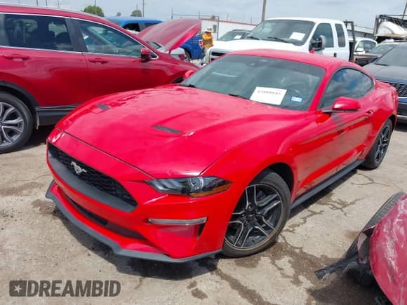 2023 Ford Mustang EcoBoost with VIN 1FA6P8TH0P5101791, listed as a IAAI auction lot 42888045 with 17,479 mi miles and . Bid and sale history available at DreamBid. Image 16.