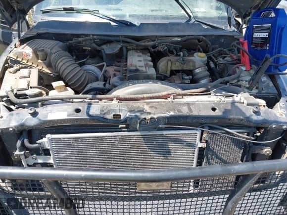 1999 Dodge 2500 with VIN 3B7KF2368XG134392, listed as a IAAI auction lot 42973024 with 213,990 mi miles and . Bid and sale history available at DreamBid. Image 10.