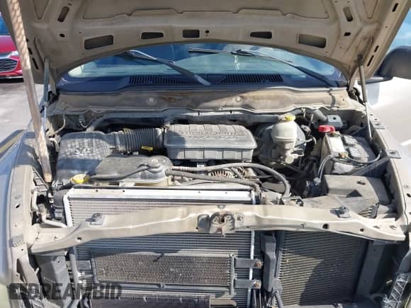 2003 Dodge 1500 ST z VIN 1D7HA16N93J658896, wystawiony jako IAAI lot #43021273 z przebiegiem 282 251 mil mil oraz . Historia ofert i sprzedaży dostępna na DreamBid. Obrazek 10.