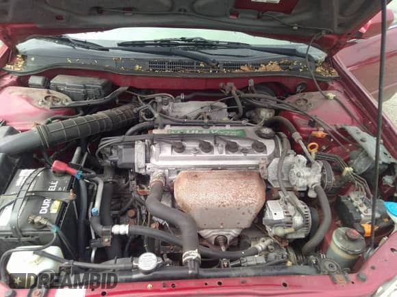 2000 Honda Accord SE with VIN JHMCG6695YC021145, listed as a IAAI auction lot 40250600 with 97,869 mi miles and . Bid and sale history available at DreamBid. Image 10.