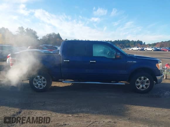 2009 Ford F-150 XL with VIN 1FTPW14VX9FA32666, listed as a IAAI auction lot 43500800 with 310,552 mi miles and . Bid and sale history available at DreamBid. Image 13.
