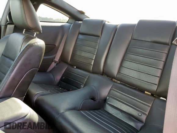 2009 Ford Mustang GT with VIN 1ZVHT82H195106031, listed as a Copart auction lot 81744055 with 64,099 mi miles and Salvage title. Bid and sale history available at DreamBid. Image 10.