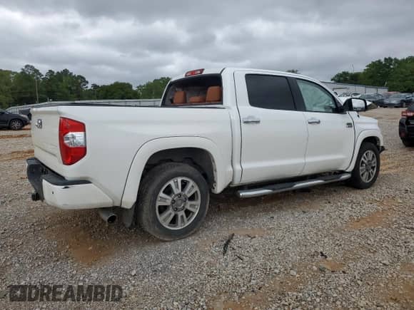 2016 Toyota Tundra Platinum with VIN 5TFGW5F19GX207773, listed as a Copart auction lot 51948075 with Not provided miles and Salvage title. Bid and sale history available at DreamBid. Image 3.