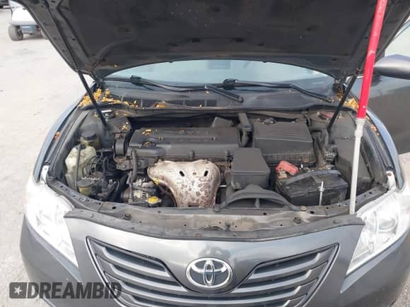 2007 Toyota Camry LE with VIN 4T1BE46K17U517820, listed as a IAAI auction lot 43446306 with 236,122 mi miles and . Bid and sale history available at DreamBid. Image 10.