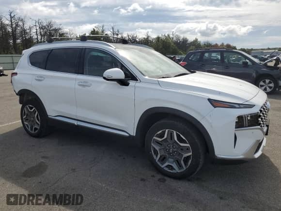 2022 Hyundai Santa Fe Limited with VIN KM8S5DA12NU018620, listed as a Copart auction lot 80389225 with 28,867 mi miles and Salvage title. Bid and sale history available at DreamBid. Image 4.