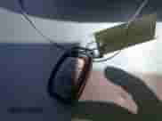 2020 Hyundai Elantra SEL z VIN 5NPD84LFXLH553098, wystawiony jako IAAI lot #42955277 z przebiegiem 57 755 mil mil oraz . Historia ofert i sprzedaży dostępna na DreamBid. Obrazek 11.