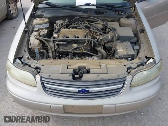 2003 Chevrolet Malibu с VIN 1G1ND52J23M638351, выставлен на аукционе IAAI как лот 42970342 с пробегом 276 594 миль миль и . История ставок и продаж доступна на DreamBid. Изображение 10.