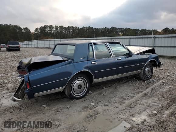 1989 Chevrolet Caprice с VIN 1G1BU51E2KA142599, выставлен на аукционе Copart как лот 84437874 с пробегом 65 628 миль миль и Списание • Salvage title. История ставок и продаж доступна на DreamBid. Изображение 3.
