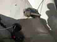 2011 Toyota Sienna LE with VIN 5TDJK3DC5BS019471, listed as a IAAI auction lot 43121145 with 214,140 mi miles and . Bid and sale history available at DreamBid. Image 11.