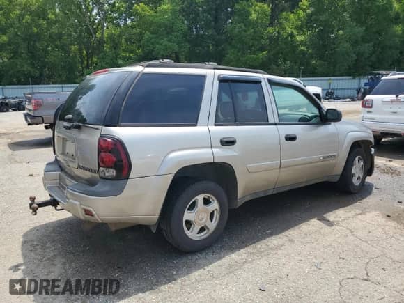2002 Chevrolet TrailBlazer LS with VIN 1GNDS13SX22451546, listed as a Copart auction lot 66895415 with 144,456 mi miles and Salvage title. Bid and sale history available at DreamBid. Image 3.