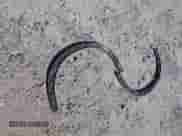 2019 Toyota Tacoma SR5 with VIN 3TMAZ5CN5KM082418, listed as a IAAI auction lot 43185032 with 73,994 mi miles and . Bid and sale history available at DreamBid. Image 11.