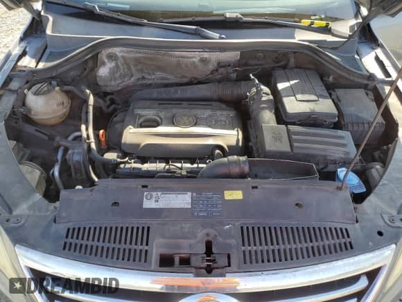 2009 Volkswagen Tiguan S с VIN WVGAV95N59W525107, выставлен на аукционе Copart как лот 71562935 с пробегом 149 399 миль миль и Чистый • Clean title. История ставок и продаж доступна на DreamBid. Изображение 11.