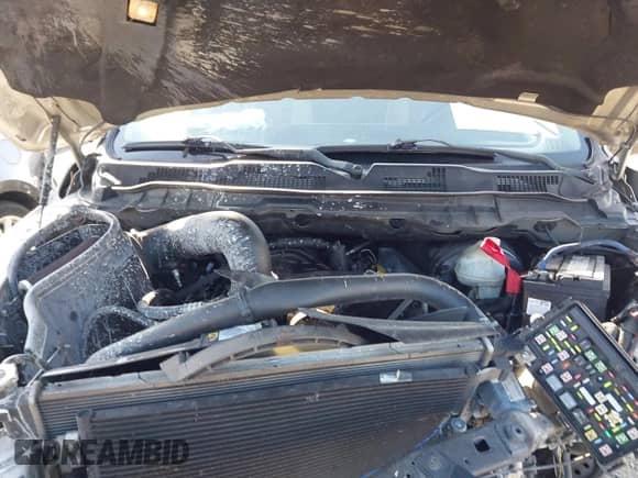 2009 Dodge 1500 SLT z VIN 1D3HB13T99J532242, wystawiony jako IAAI lot #42770095 z przebiegiem 166 481 mil mil oraz . Historia ofert i sprzedaży dostępna na DreamBid. Obrazek 10.