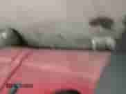 2018 Jeep Grand Cherokee Altitude z VIN 1C4RJFAG9JC398862, wystawiony jako IAAI lot #41641847 z przebiegiem 62 855 mil mil oraz . Historia ofert i sprzedaży dostępna na DreamBid. Obrazek 19.