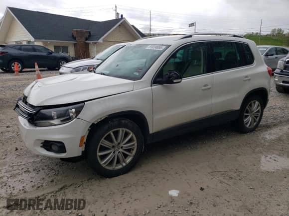 2013 Volkswagen Tiguan SE с VIN WVGAV7AX1DW527053, выставлен на аукционе Copart как лот 55934895 с пробегом 202 761 миль миль и Чистый • Clean title. История ставок и продаж доступна на DreamBid. Изображение 1.