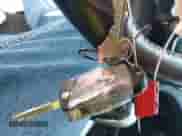 2016 Chevrolet Sonic RS z VIN 1G1JG6SB6G4168724, wystawiony jako IAAI lot #41363232 z przebiegiem 99 818 mil mil oraz . Historia ofert i sprzedaży dostępna na DreamBid. Obrazek 11.