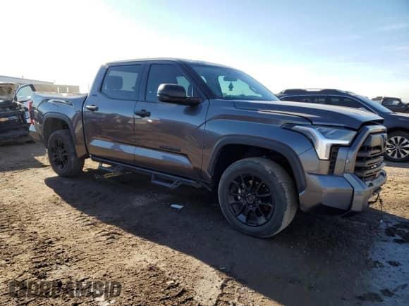 2023 Toyota Tundra SR5 with VIN 5TFLA5DB8PX122982, listed as a Copart auction lot 81602485 with 44,437 mi miles and Salvage title. Bid and sale history available at DreamBid. Image 4.