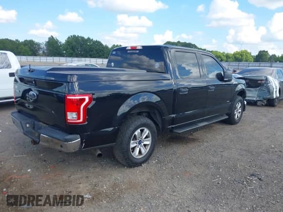 2016 Ford F-150 XLT with VIN 1FTEW1CP8GKE26505, listed as a IAAI auction lot 42827509 with 203,929 mi miles and . Bid and sale history available at DreamBid. Image 4.