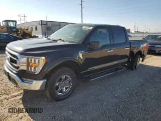2021 Ford F-150 XLT z VIN 1FTEW1EPXMFC33032, wystawiony jako Copart lot #81278495 z przebiegiem 9 513 mil mil oraz Szkoda całkowita • Salvage title. Historia ofert i sprzedaży dostępna na DreamBid. Obrazek 1.