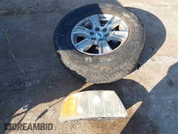 2007 Ford F-150 XL z VIN 1FTRF12277KB41401, wystawiony jako IAAI lot #43178959 z przebiegiem 217 607 mil mil oraz . Historia ofert i sprzedaży dostępna na DreamBid. Obrazek 12.