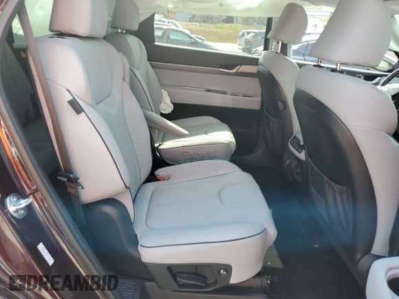 2024 Hyundai Palisade SEL с VIN KM8R2DGE2RU741374, выставлен на аукционе Copart как лот 81117145 с пробегом 10 166 миль миль и Списание • Salvage title. История ставок и продаж доступна на DreamBid. Изображение 11.